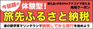 旅先ふるさと納税